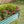 Metal Raised Garden Bed with Anti-Rust Coating - Green