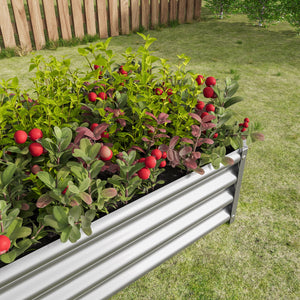 Metal Raised Garden Bed with Galvanized Steel - 4x2x1 ft