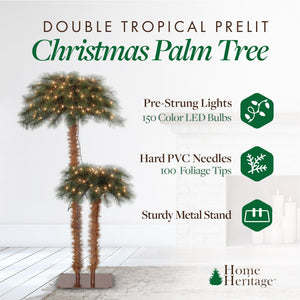 Home Heritage Palm Tree 5' & 3' Pre-Lit Artificial Tropical Double Holiday Tree