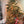 Home Heritage Palm Tree 5' & 3' Pre-Lit Artificial Tropical Double Holiday Tree