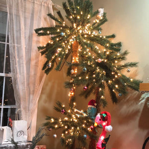 Home Heritage Palm Tree 5' & 3' Pre-Lit Artificial Tropical Double Holiday Tree