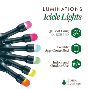 Home Heritage 33' Wrapped Dome Holiday Lights, App Control, 100 RGB LEDs, 6 Pack