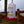 Farm Innovators Heated Plastic Hanging Poultry Water Fountain, Red (4 Pack)