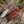 Huntsman Damascus Kukri Knife with Exotic Rose Wood Handle