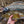 Hunt BFS Fishing Rods