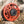 Armor II Reel - TRAPSKI