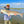 Texas Mag Fishing Rod