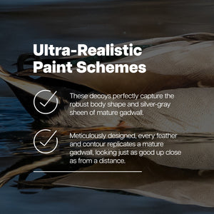 Avian X Topflight Gadwall Decoys Realistic Gray Ducks, Set of 6, Multicolor