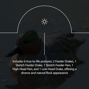 Avian X AXP Full Body Mallards Decoy, Ultra Realistic and Wind Activated, 6 Pack