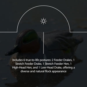 Avian X AXP Full Body Mallards Decoy, Ultra Realistic and Wind Activated, 6 Pack