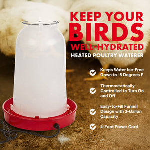 API HPW33 3 Gallon Heated Poultry Chicken Waterer Drinking Water Tank Trough