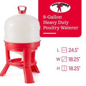 Little Giant 8 Gallon Tank Heavy Duty Poultry Chicken Gravity Waterer (4 Pack)