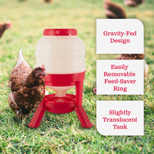 Little Giant DOMEFDR45 45 Pound Feed Heavy Duty Poultry Chicken Gravity Feeder