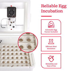 Little Giant 11300 Deluxe Digital Incubator with Fan and Automatic Egg Turner
