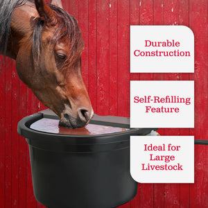 Little Giant 4 Gal. Float Controlled Waterer Livestock Water Trough (3 Pack)