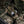 M-Tac Pouch for Tourniquet Elastic MOLLE Gen.III