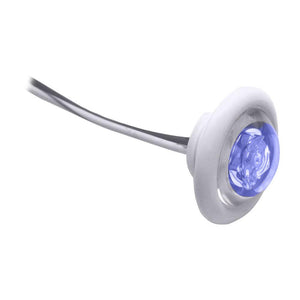 Innovative Lighting LED Bulkhead/Livewell Light "The Shortie" Blue LED w/ White Grommet - TRAPSKI