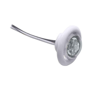 Innovative Lighting LED Bulkhead/Livewell Light "The Shortie" White LED w/ White Grommet - TRAPSKI