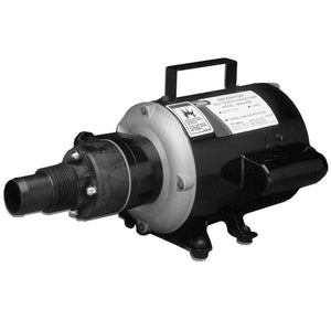 Jabsco Macerator Pump - 115V - TRAPSKI