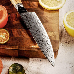 Jasmine Knife Set 5 Piece VG10 Damascus Steel Japanese Professional Chef knife Set. - TRAPSKI