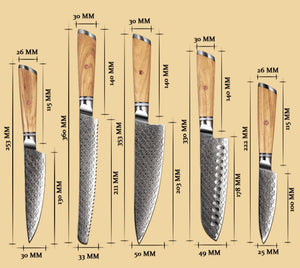 Jasmine Knife Set 5 Piece VG10 Damascus Steel Japanese Professional Chef knife Set. - TRAPSKI