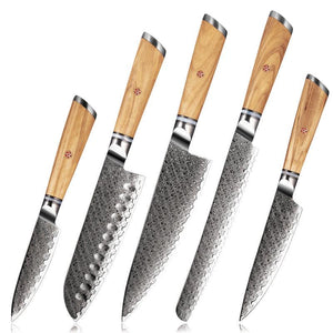 Jasmine Knife Set 5 Piece VG10 Damascus Steel Japanese Professional Chef knife Set. - TRAPSKI