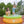 JLeisure 5' x 16.5