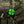 M-Tac Patch Clover GID