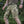 M-Tac Tactical Shorts Aggressor Gen.II Rip-Stop