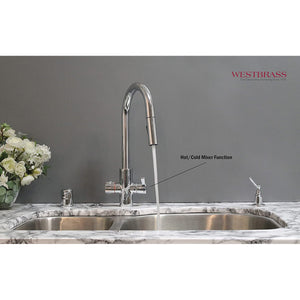 Westbrass HotMaster 4in1 Hot Water Dispenser Faucet w/ Hot Tank, Polished Chrome