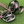 Junior Golf Clubs for Kids | Youth Golf Sets Ages 2-5 & 6-9 | Left & Right Hand