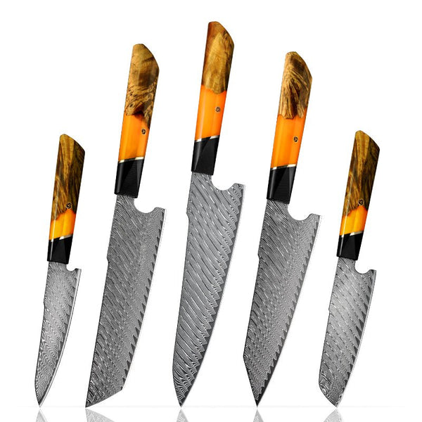 Elite Series VG10 Damascus Knife Set with Exotic Burl Wood Handle