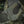 M-Tac Shoulder Damper for Cuirass Plate Carriers