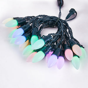 Home Heritage 15.8' Holiday Lights, Smooth, App Controlled, 20 RGB LEDs (2 Pack)