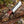 Handmade High Carbon Steel Bowie Knife with Stag Horn Handle and Leather Sheath
