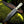 Legendary Western Bowie Knife – Custom Handmade Damascus Steel Blade with Bone Handle