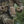 M-Tac Pouch M249 Ammo Box Fast