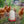API HPW33 3 Gallon Heated Poultry Chicken Waterer Drinking Water Tank Trough