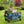 Seina All in One Foldable Garden Wagon with Mulch & Soil Dumper Included, Green