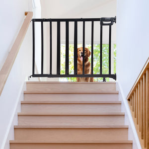 Ingenuity 32 Inch Summer Infant Deluxe Stairway Safety Pet and Baby Gate, Black
