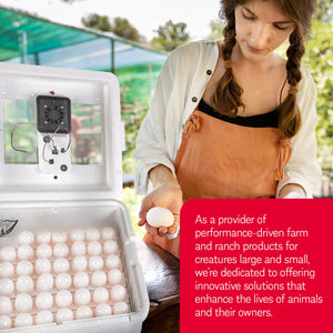 Little Giant 11300 Deluxe Digital Incubator w/ Fan Automatic Egg Turner (2 Pack) - TRAPSKI