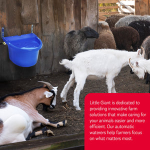 Little Giant 4 Gal Auto Float Controlled Waterer Livestock Water Trough (3 Pack)