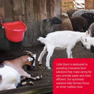 Little Giant FW16RED 4G Auto Float Controlled Water Livestock Trough (2 Pack)