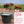 Little Giant 4 Gal. Float Controlled Waterer Livestock Water Trough (3 Pack)