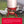 Little Giant DOMEFDR60 60 Pound Feed Heavy Duty Poultry Chicken Gravity Feeder