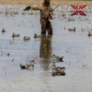 Avian X Topflight Gadwall Decoys Realistic Gray Ducks, Set of 6, Multicolor