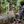 DeWalt 60V MAX Brushless Cordless 20