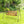 Woodlawn Patio Swing Frame with Steel Tubing and Powder Coated Finish, Bronze