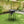 LoCo Cookers 22 Inch SureSpark Disco Cooker with Interchangeable Leg System