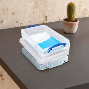 Really Useful Box 4L Storage Container with Lid and Clip Lock Handles, (10 Pack)